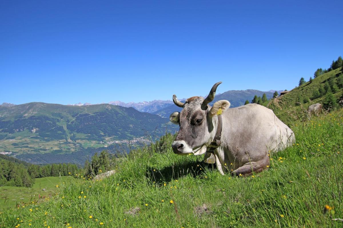 Panoramablick