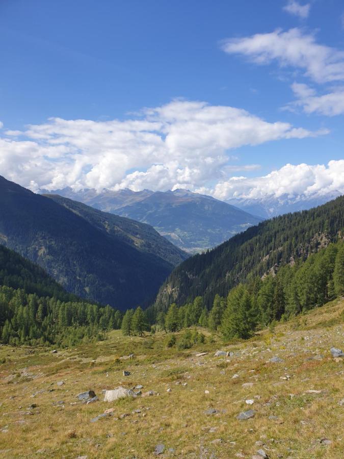 Panoramablick